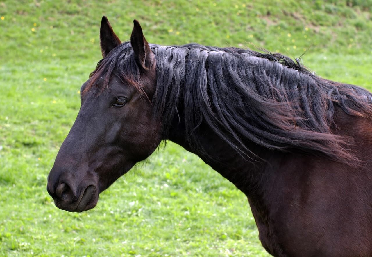 "If I Had My Way, I'd Turn All of You Guys Into Dust"