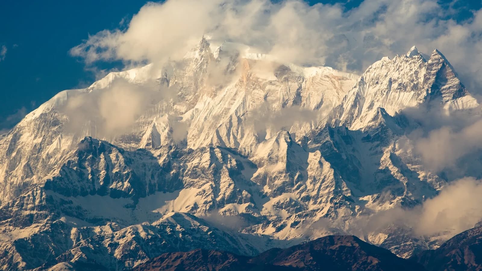 Michael Gottlieb MD and the Story of AIDS:  Part 2