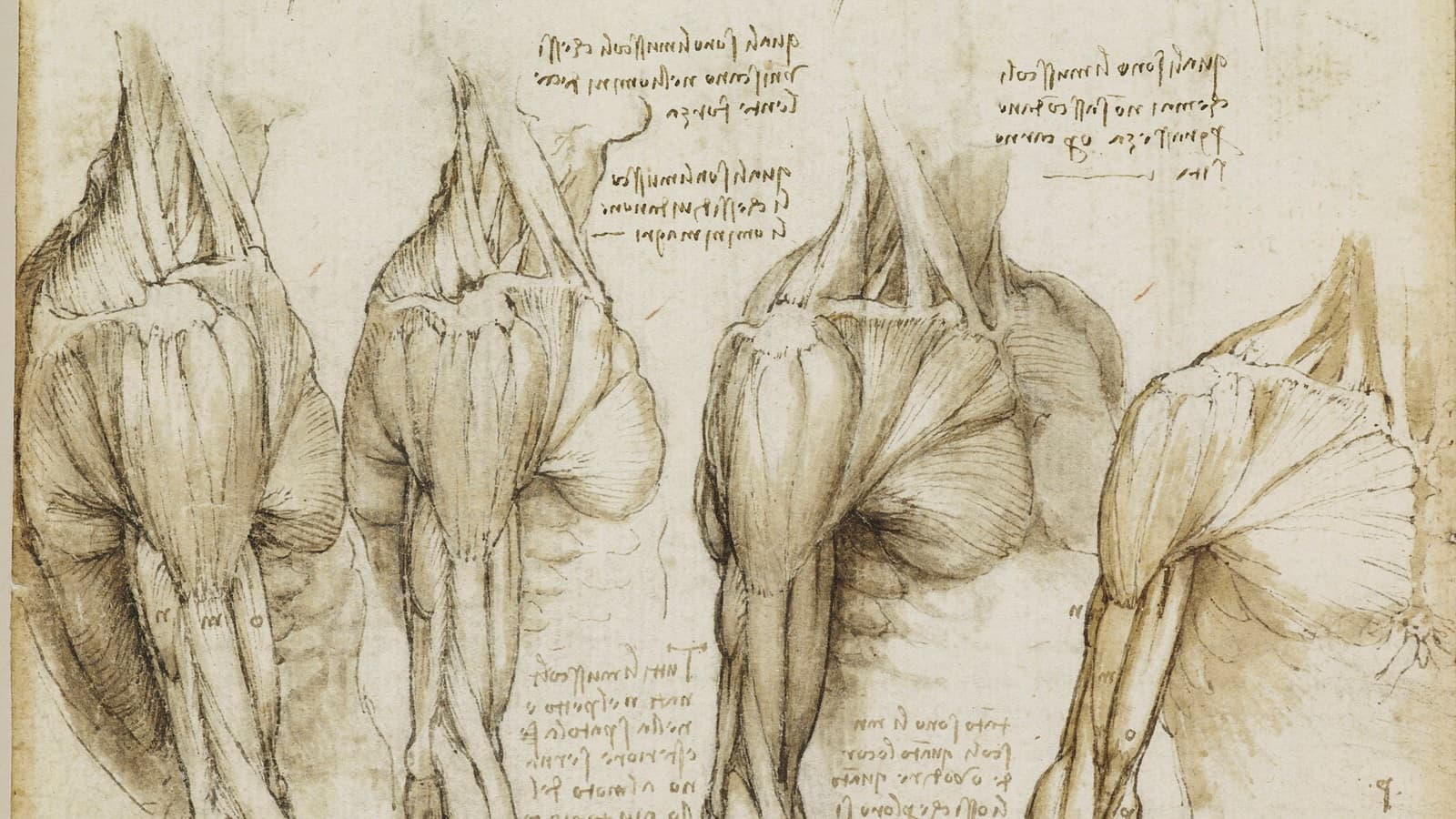 Medical Mental Models