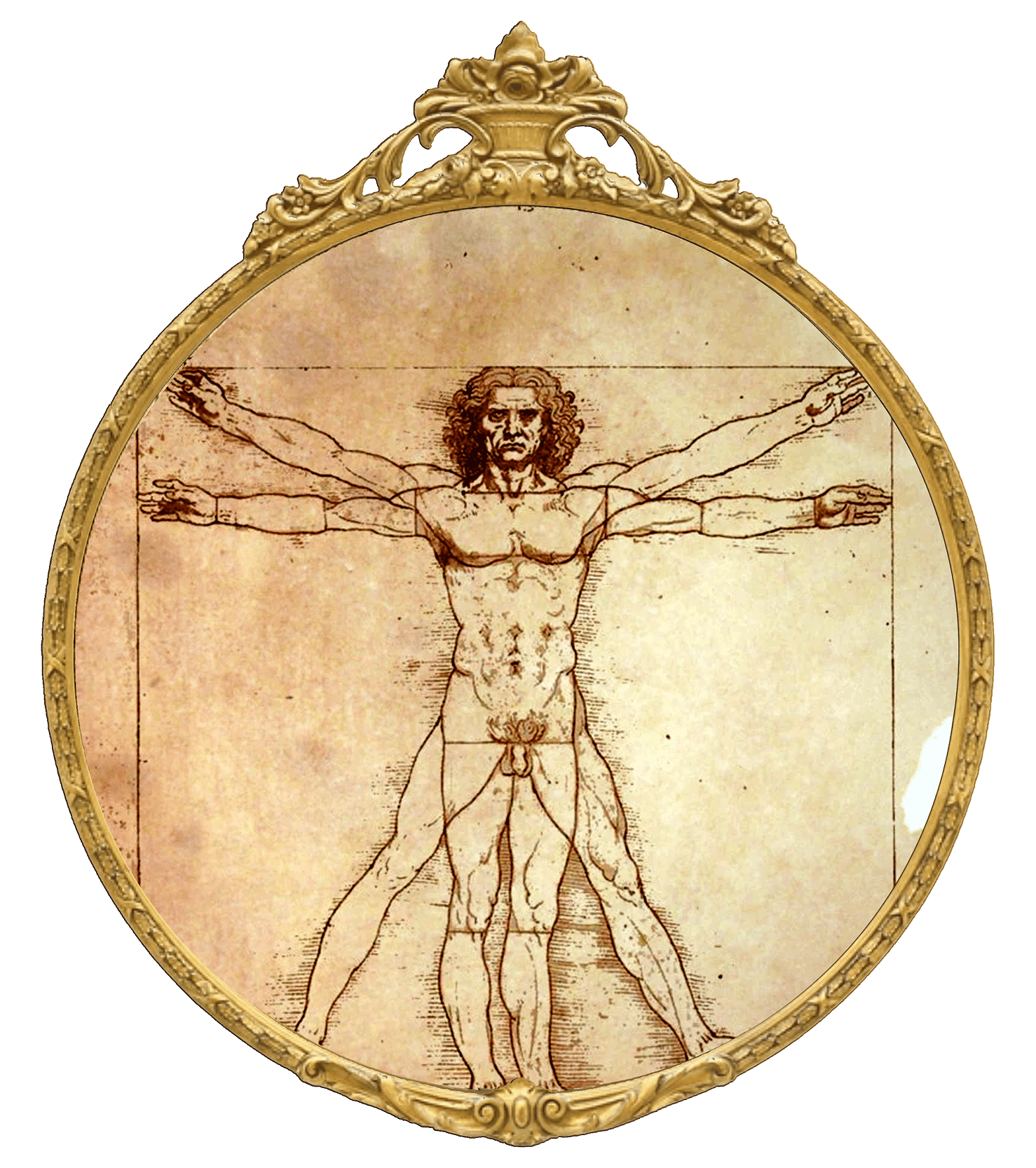 Vitruvian Man in a round ornate frame